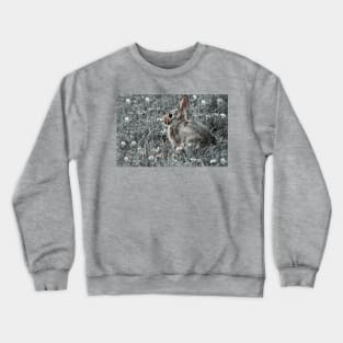 Bunny and Clover 1-3 Crewneck Sweatshirt